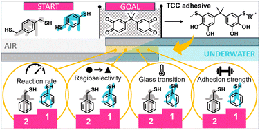 Graphical abstract: Adhesive-tuning with aromatic dithiols in thiol-quinone Michael polyadditions to tailor thiol-catechol connected (TCC) polymers