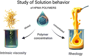 Graphical abstract: Structural dependence of the solution behavior of HPMA-based polymers