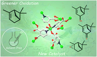 Graphical abstract: Copper pyridinedicarboxylates: assembly, structures, and catalytic oxidation of terpenes
