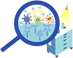 Graphical abstract: Light-activated antimicrobial coatings: the great potential of organic photosensitizers