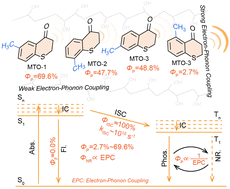 Graphical abstract: Manipulating room-temperature phosphorescence by electron–phonon coupling