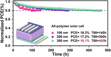 Graphical abstract: Thick-film all-polymer organic solar cells: non-halogen solvent processing for efficient and stable photovoltaics