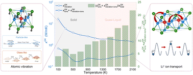 Graphical abstract: In hot pursuit: tracking ionic and phononic heat carriers in Li3OCl across temperatures