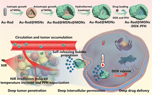 Graphical abstract: Light-driven jet-propelled nanomotors for enhanced drug penetration and therapy