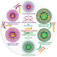 Graphical abstract: Perfluorooctanoic acid-mediated self-assembly behaviour of linear and star block copolymers: the impact of intermolecular interactions on polymer micelles