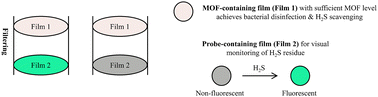Graphical abstract: A dual-film platform for simultaneous bacterial disinfection and H2S scavenging with integrated fluorescent sensing for real-time visual monitoring