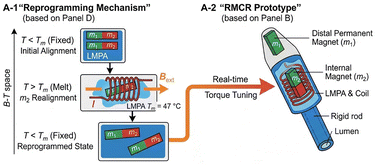 Graphical abstract: LMPA-based magnetically actuated continuum robots with real-time reprogramming capability for minimally invasive biomedical applications