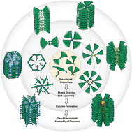 Graphical abstract: Shape-directed self-assembly into columnar phases: beyond the discotic paradigm
