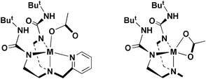 Graphical abstract: Development of bio-inspired chelates with hydrogen bond donors: synthesis and structure of monomeric metal acetate complexes with intramolecular hydrogen bonds