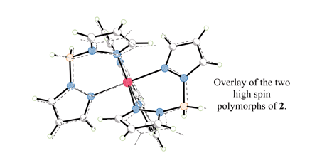 Graphical abstract: Thermal and light induced polymorphism in iron(ii) spin crossover compounds