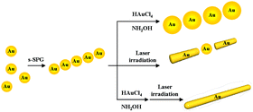 Graphical abstract: New approach to preparing one-dimensional Au nanowires utilizing a helical structure constructed by schizophyllan