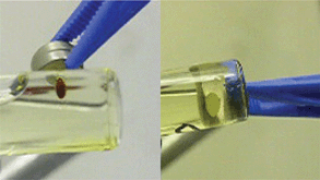 Graphical abstract: Structure and magnetic behavior of transition metal based ionic liquids