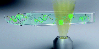 Graphical abstract: Nanofluidic technology for biomolecule applications: a critical review