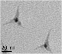 Graphical abstract: Chiral luminescent CdS nano-tetrapods