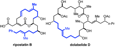 Graphical abstract: Transforming terpene feedstock into polyketide architecture