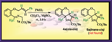 Graphical abstract: First synthesis of fused-Δ1-pyrrolines via intramolecular 1,3-dipolar cycloaddition of ketoimine: A complete diastereoselective approach