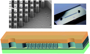 Graphical abstract: Solid phase extraction of DNA from biological samples in a post-based, high surface area poly(methyl methacrylate) (PMMA) microdevice