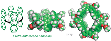 Graphical abstract: A tubular macrocycle from covalently linked anthracenes and meta-phenylene spacers