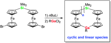 Graphical abstract: Ferrocenophanes with gallium and silicon as alternating bridges