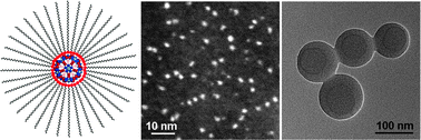 Graphical abstract: Star-like supramolecular polymers fabricated by a Keplerate cluster with cationic terminated polymers and their self-assembly into vesicles
