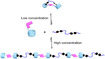 Graphical abstract: Pillar[5]arene-based polymeric architectures constructed by orthogonal supramolecular interactions