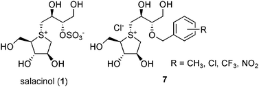 Graphical abstract: In silico design, synthesis and evaluation of 3′-O-benzylated analogs of salacinol, a potent α-glucosidase inhibitor isolated from an Ayurvedic traditional medicine “Salacia”