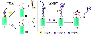Graphical abstract: DNA-based intelligent logic controlled release systems