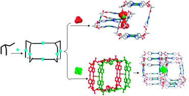 Graphical abstract: Anion-driven self-assembly: from discrete cages to infinite polycatenanes step by step
