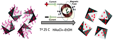 Graphical abstract: Magnetically-driven selective synthesis of Au clusters on Fe3O4 nanoparticles