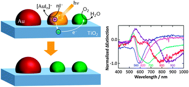 Graphical abstract: Stable spectral dip formation and multicolour changes of plasmonic gold nanoparticles on TiO2