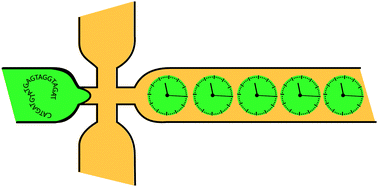 Graphical abstract: High-throughput and long-term observation of compartmentalized biochemical oscillators