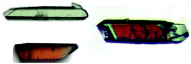 Graphical abstract: Molecular tectonics: from crystals to crystals of crystals