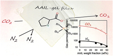 Graphical abstract: Polymeric ion-gels containing an amino acid ionic liquid for facilitated CO2 transport media