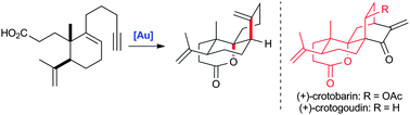 Graphical abstract: Concise synthesis of the tricyclic skeleton of crotobarin and crotogoudin via a gold-catalyzed cycloisomerization reaction