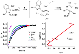 Graphical abstract: Quantitative kinetic investigation of triazole–gold(i) complex catalyzed [3,3]-rearrangement of propargyl ester