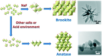 Graphical abstract: Anatase and brookite TiO2 with various morphologies and their proposed building block