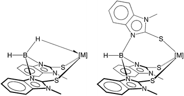 Graphical abstract: Synthesis and structural characterization of bis and tris(2-mercapto-1-methylbenzimidazolyl)hydroborato complexes: benzannulation promotes κ3-coordination