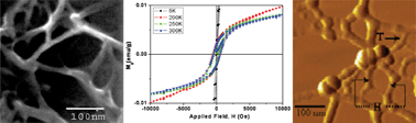 Graphical abstract: Isolation of water soluble carbon nanotubes with network structure possessing multipodal junctions and its magnetic property