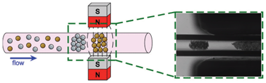 Graphical abstract: Simultaneous trapping of magnetic and diamagnetic particle plugs for separations and bioassays