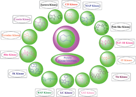 Graphical abstract: Benzimidazole-biologically attractive scaffold for protein kinase inhibitors