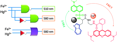 Graphical abstract: A dual FRET based fluorescent probe as a multiple logic system