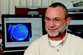 Graphical abstract: Hybrid materials