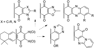 Graphical abstract: New 1,4-anthracenedione derivatives with fused heterocyclic rings: synthesis and biological evaluation