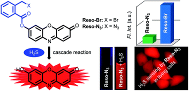 Graphical abstract: Performance comparison of two cascade reaction models in fluorescence off–on detection of hydrogen sulfide