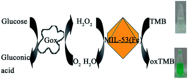 Graphical abstract: Metal–organic framework MIL-53(Fe): facile microwave-assisted synthesis and use as a highly active peroxidase mimetic for glucose biosensing