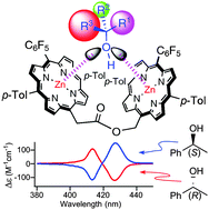 Graphical abstract: Bis(zinc porphyrin) as a CD-sensitive bidentate host molecule: direct determination of absolute configuration of mono-alcohols