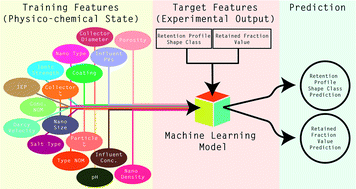 Graphical abstract: Prediction of nanoparticle transport behavior from physicochemical properties: machine learning provides insights to guide the next generation of transport models