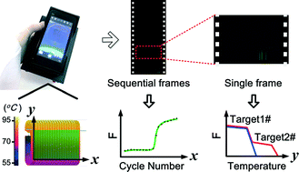 Graphical abstract: A handheld flow genetic analysis system (FGAS): towards rapid, sensitive, quantitative and multiplex molecular diagnosis at the point-of-care level