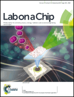 Graphical abstract: Front cover