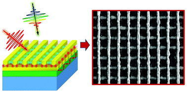 Graphical abstract: A cross-stacked plasmonic nanowire network for high-contrast femtosecond optical switching